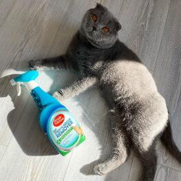 Cat lying with Simple Solution product